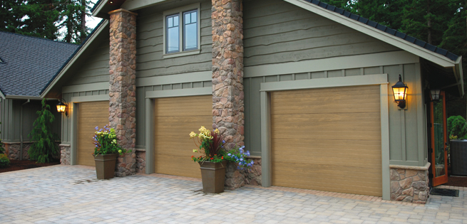 Domestic Security Solutions